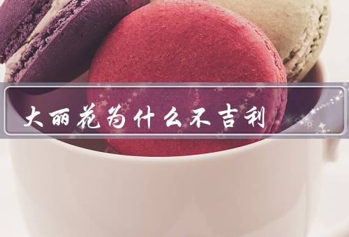 大丽花为什么不吉利（花语不吉利、外形令人产生压抑感、与丧葬有关）