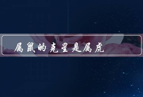 属鼠的克星是属虎（属虎的人对属鼠的人的影响）