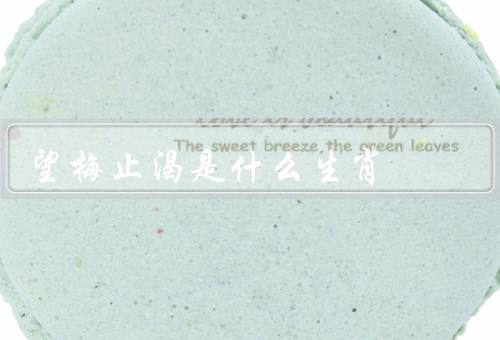 望梅止渴是什么生肖，起源、象征意义、应用场景