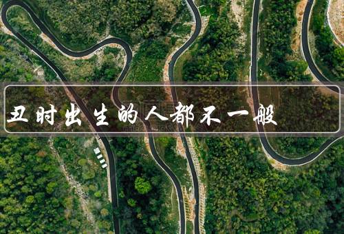 丑时出生的人都不一般（坚韧不拔／独特眼光／追求卓越）