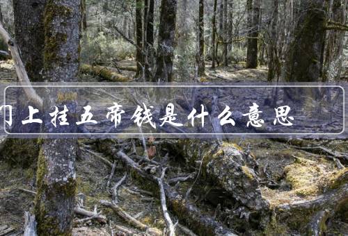 门上挂五帝钱是什么意思（历史渊源／五帝钱的制作／寓意）