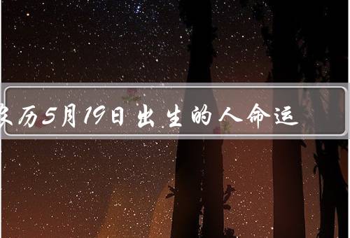 农历5月19日出生的人命运（聪颖机智／坚韧不拔／人际关系良好）