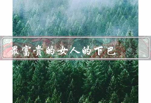 最富贵的女人的下巴（完美下巴、财富与地位、无尽的崇拜）