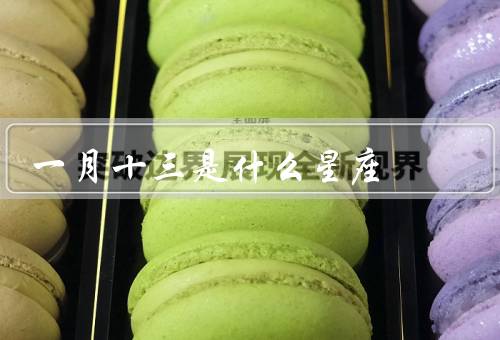 一月十三是什么星座，特点、缺点、配对建议