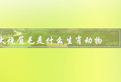 火烧眉毛是什么生肖动物（火烧眉毛／猴子／总结）