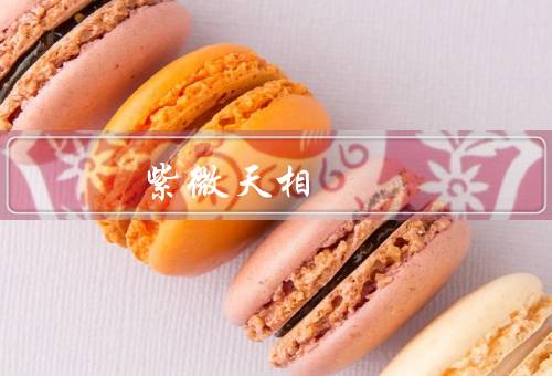 紫微天相 必有缺憾，预测未来的不确定性／只是提供参考