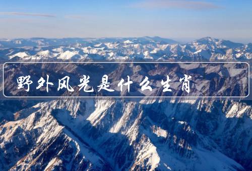 野外风光是什么生肖，相似之处／象征意义／共同特点
