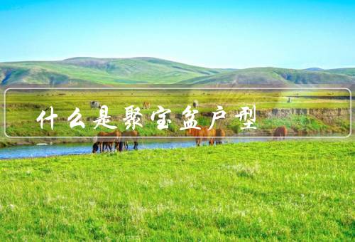 什么是聚宝盆户型（布局合理、空间通透、装修风格独特）