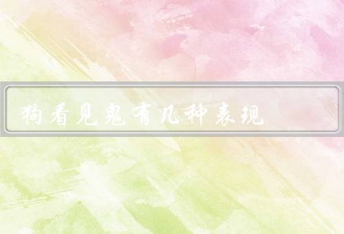 狗看见鬼有几种表现，恐惧／兴奋／困惑