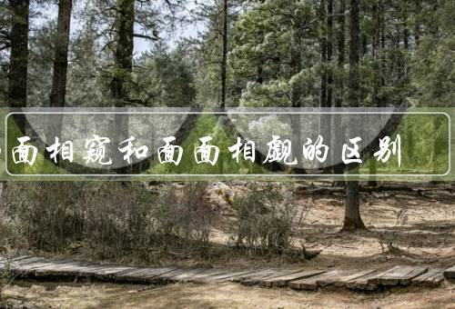 面面相窥和面面相觑的区别（面面相窥、面面相觑、两者的区别）