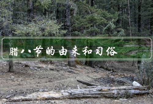 腊八节的由来和习俗，由来／习俗／意义