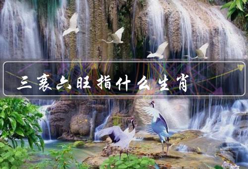 三衰六旺指什么生肖（三衰、六旺、总结）