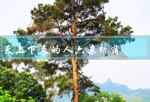 天上下来的人六亲缘薄，亲情／友情／感情世界
