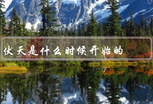 伏天是什么时候开始的（起源／特点／预防措施）