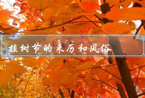 植树节的来历和风俗，来历／风俗／总结