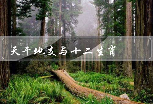 天干地支与十二生肖（起源、含义、与中国人生活关系）