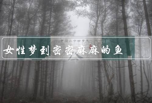 女性梦到密密麻麻的鱼