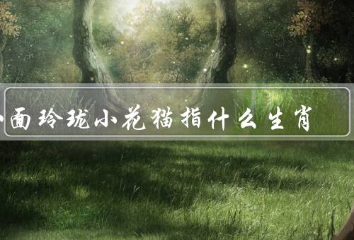 八面玲珑小花猫指什么生肖（特点、象征意义、寓意和价值）