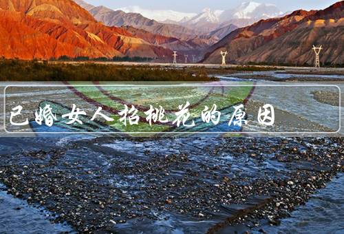 已婚女人招桃花的原因（婚姻压力／寻求／自我满足）