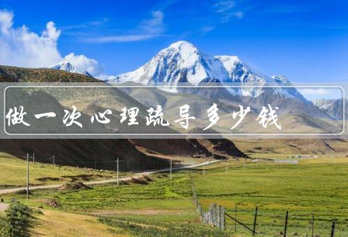 做一次心理疏导多少钱（因素、参考标准、价值）