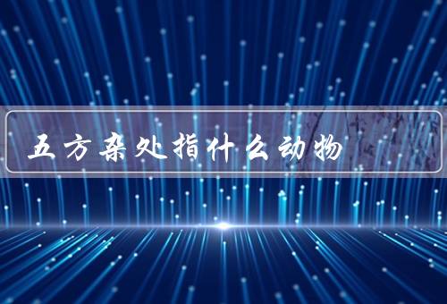 五方杂处指什么动物（由来、象征意义、艺术表现）
