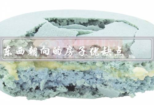 东西朝向的房子优缺点，采光、通风、风水