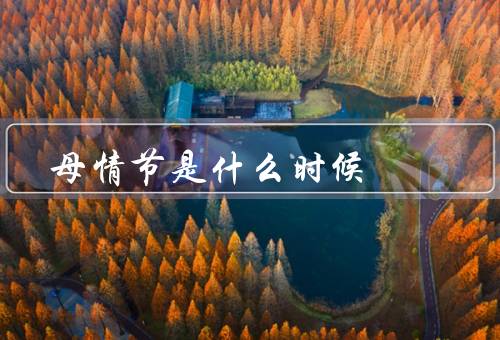 母情节是什么时候（初期依恋、扩展依恋、分离独立）