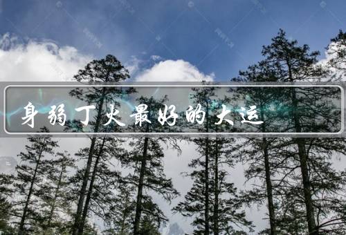 身弱丁火最好的大运，太阴大运／己亥大运／甲申大运