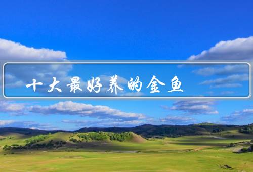 十大最好养的金鱼，草鱼、红白、黑龙鱼