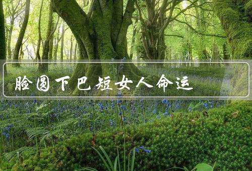 脸圆下巴短女人命运，自信与坚强／个人魅力与创造力