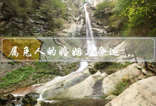 属兔人的婚姻与命运，婚姻／命运／小结