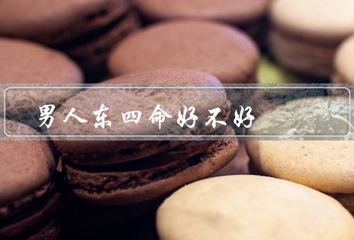 男人东四命好不好，性格特点、事业发展、婚姻家庭