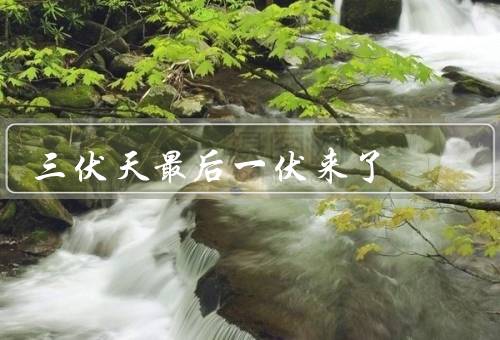三伏天最后一伏来了，如火如荼／饮食调理／生活调整