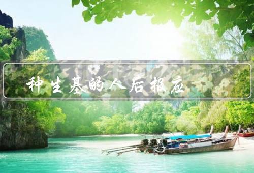 种生基的人死后报应，起源／无效性／科学观点