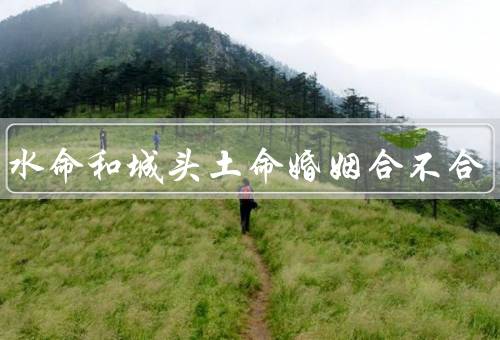 涧下水命和城头土命婚姻合不合，性格互补／共同目标／相互包容