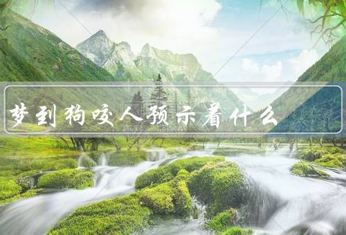 梦到狗咬人预示着什么，危险与警示、人际关系的矛盾