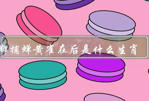 螳螂捕蝉黄雀在后是什么生肖（螳螂捕蝉、属猴年、总结）