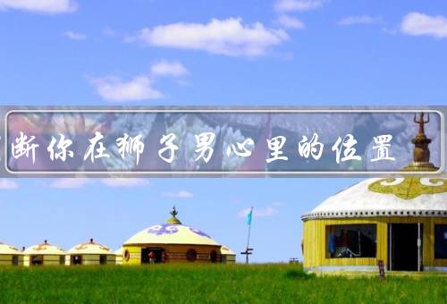 判断你在狮子男心里的位置（关注度／信任程度／优先级）