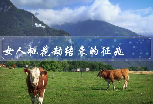女人桃花劫结束的征兆，内心平静、对新感情持开放态度