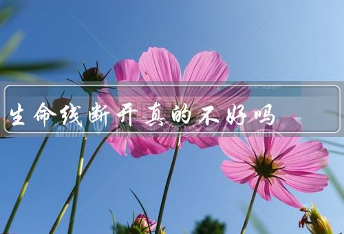 生命线断开真的不好吗，结束、意义、对尊重
