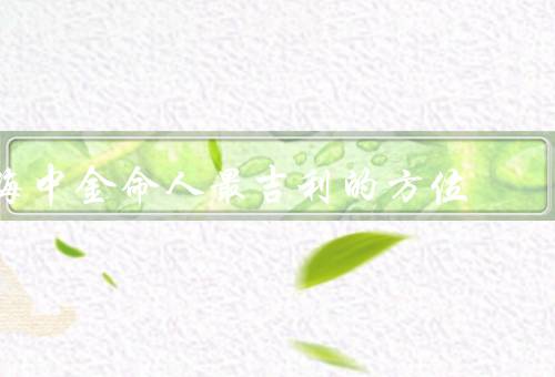 海中金命人最吉利的方位（优势／挑战／布局）