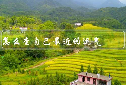怎么查自己最近的运气，自我观察／周围反馈／占卜工具