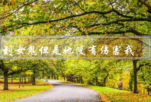 梦到女鬼但是她没有伤害我（出现、故事、从梦境中醒来）