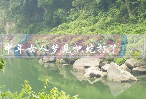 中年女人梦见把蛇打死了（坚定的信念／战胜内心的恐惧）