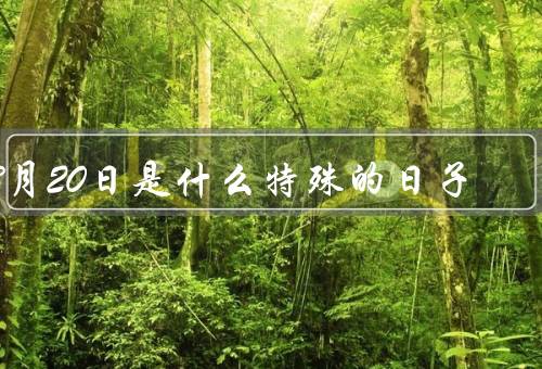 3月20日是什么特殊的日子（由来／习俗／意义）