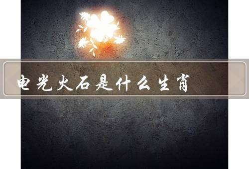 电光火石是什么生肖（用法、意义）