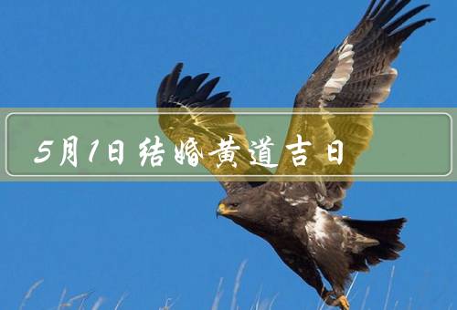 5月1日结婚黄道吉日（含义／选择／意义）