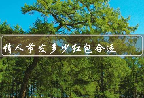 情人节发多少红包合适，礼轻情重／根据情侣关系确定