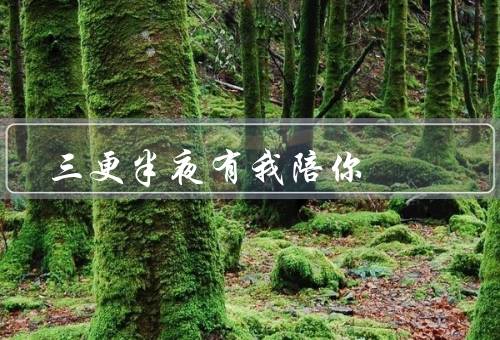 三更半夜有我陪你（陪伴你的寂静／守护你的梦境／与你分享的宁静）