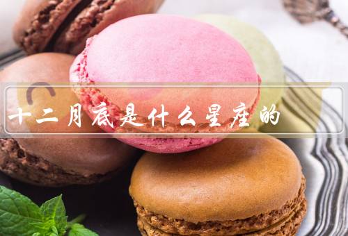 十二月底是什么星座的，星座／人的性格特点／结语